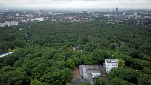 Der Wald mit seinen regenerativen Fähigkeiten könnte für uns Vorbild in Sachen nachhaltiges Leben sein.